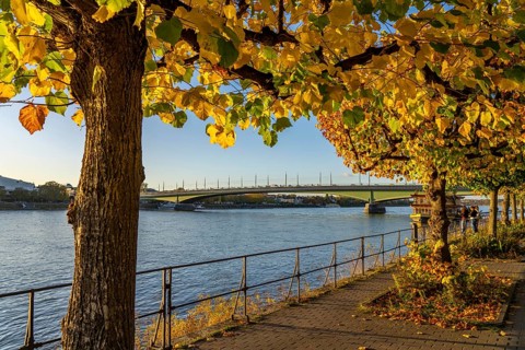 The Rhine near Bonn, the riverside promenade of Bonn-Beuel with the Kennedy Bridge in the