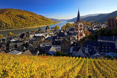 Autumn view of Bacharach on the Rhine with St. Peter's Church, UNESCO World Heritage Upper Middle