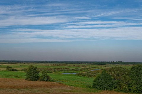 The Biebrza Valley in the Biebrza National Park in northern Poland. Burzyn, Podlaskie, Poland,