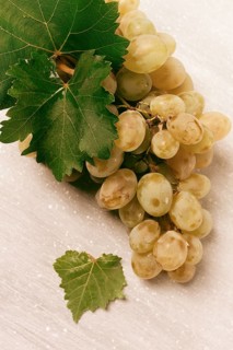 A branch of white grapes with leaves, on the table, top view, close-up, no people