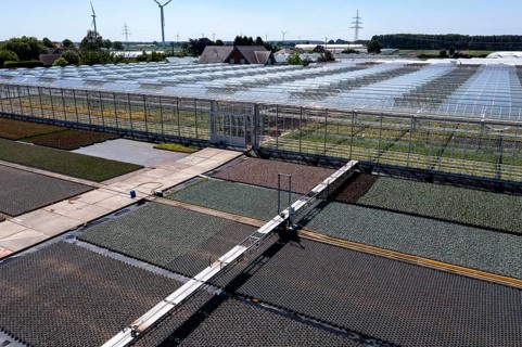 Horticultural business, irrigation with a sprinkler system, mobile on wheels in the open air,