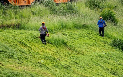 Landscape maintenance, high grass, cutting at a business, gardener, landscape maintenance, cutting