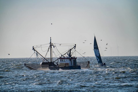 Shrimp cutter SCH-10 Drie Gebroeders, off the coast of Scheveningen, The Hague, with spread nets,