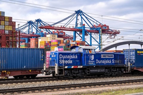 Port of Hamburg, Waltershofer Hafen, container ships, goods train brings and collects freight