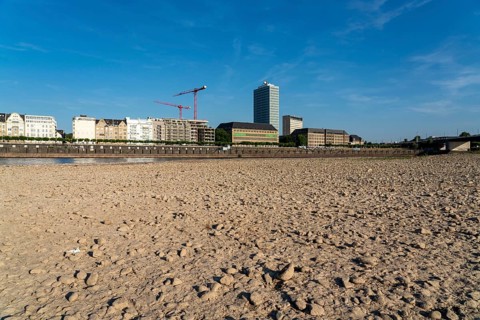 Rhine near Düsseldorf, extremely low water, Rhine level at 81 cm, falling, after a long drought the