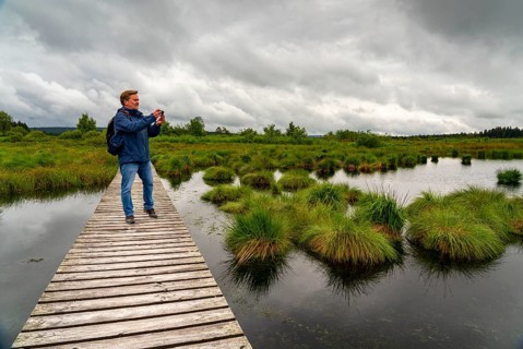 The High Fens, Brackvenn, raised bog, wooden plank hiking trail, in Wallonia, Belgium, on the