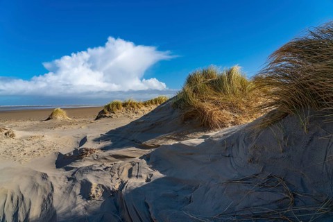 Dune landscape, sand dunes, dune grass in the west of Borkum, island, East Frisia, winter, season,