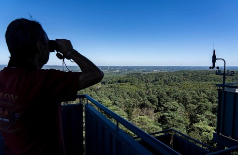 Fire watch tower on the Rennberg, near Flaesheim, Haltern am See, in the Haard forest area, one of