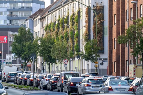 Facade greening on apartment blocks, on Gladbecker Straße, B224, to filter nitrogen oxides and fine