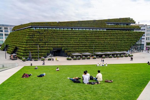 Green façade, consisting of over 30, 000 hornbeams forming a hedge a good 8 kilometres long on the