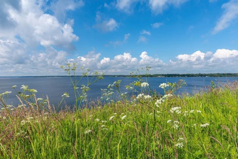 Nature reserve Holnis peninsula on the Flensburg Fjord, nature reserve, view of the Danish shore,