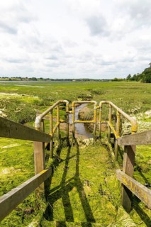 Drainage sluice gate River Deben at very low tide, Sutton, Suffolk, England, UK