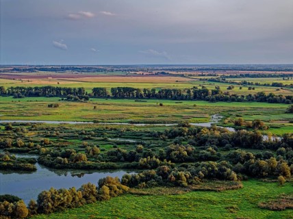 The Warta Estuary National Park, Park Narodowy Ujscie Warty, where the Warta flows into the Oder.