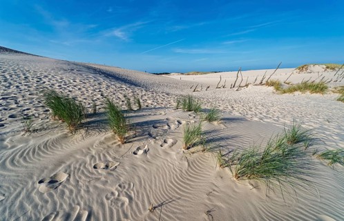 Dune landscape around the Lontz Dune, Wydma Lacka, the largest travelling dune on the Polish Baltic