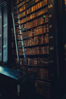 Library of Trinity College, Dublin