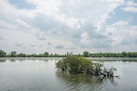 Parco del Mincio, Mantua, Italy, Europe