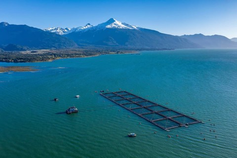 Aerial view of salmon farm in the Reloncavi fjord southeast of Puerto Montt, Chile, South America