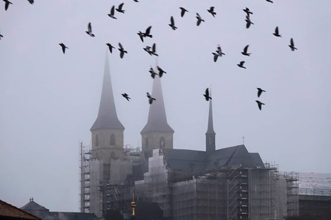 Bamberg Cathedral, fog, winter, Bavaria, Germany, Europe