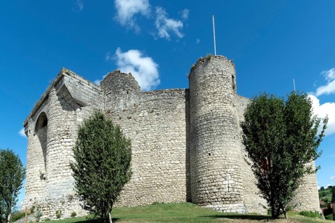 Billy. Fortified castle, showcasing medieval architecture from the 13th century in Allier