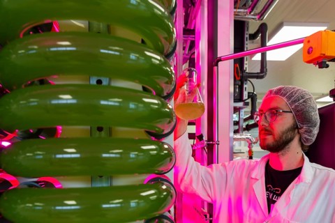 PUEVIT GmbH produces the most efficient photobioreactors for the cultivation of microalgae. The aim
