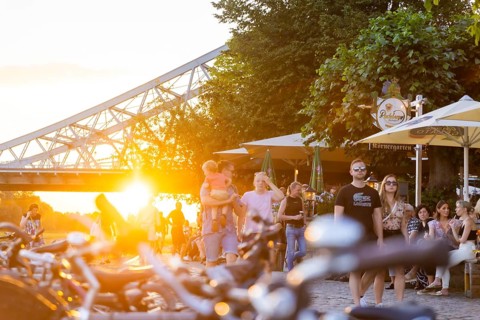 Summer evening at the Elbe garden in Dresden Loschwitz, Summer in Loschwitz, Dresden, Saxony,