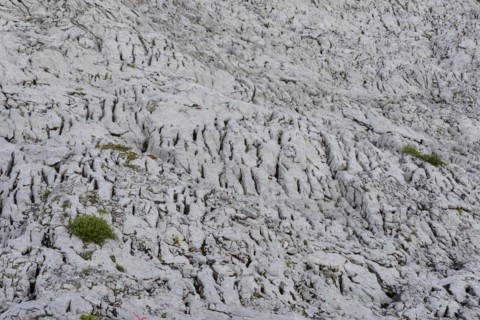 Gottesacker plateau, karst landscape, Kleinwalsertal, Vorarlberg, Allgäu Alps, Austria, Europe