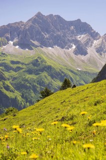 Großer Wilder, 2379m, Hochvogelgruppe and Rosszahngruppe, Allgäu Alps, Allgäu, Bavaria, Germany,