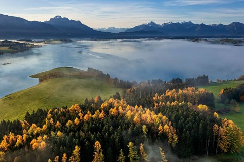 Aerial view of a lake in front of mountains in the morning light, fog, autumn, Forggensee, view of