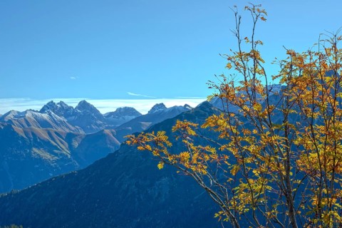 Autumn in the Allgäu, mountain panorama from Fellhorn 2037m, to Öfnerspitze, 2576m, Großer