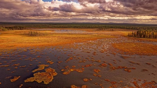 Moor, autumn, intense colouring, impressive cloud formation, drone shot, with horizon, Lapland,