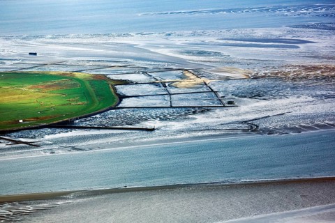 Breakwater, Lahnungsfelder, shore protection, coastline of the island of Pellworm, aerial