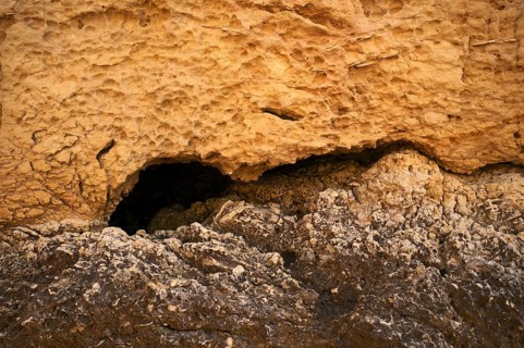 Shell limestone, fossilised shells on the beach, Praia da Dona Ana, Lagos, cliffs, Atlantic Ocean,