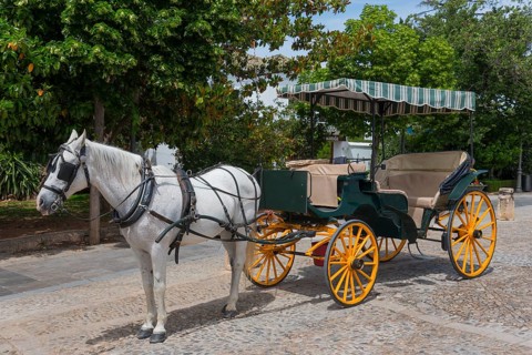 Traditional horse-drawn carriage with white horse on a cobbled path, old town, Ronda, Málaga