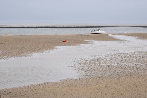 Wadden Sea at low tide with numerous piles of lugworms, two buoys, boat on dry mudflats, Utersum,