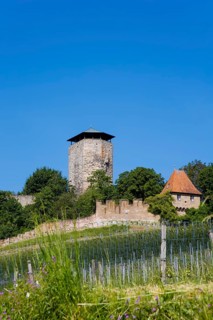 Hohenbeilstein Castle, hilltop castle, Beilstein, Heilbronn district, Baden-Württemberg, Germany,