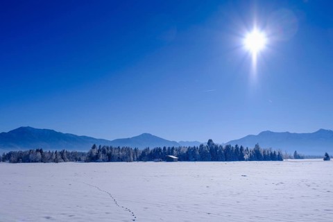 Winter near Sindelsdorf in the Benediktbeurer Moor, Tölzer Land, Upper Bavaria, Bavaria, Germany,