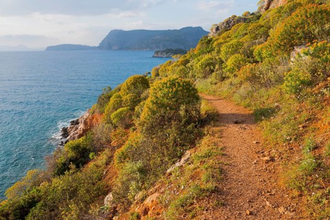 Nature trail along a rocky coast with lush vegetation and views of the open sea, Agia Kyriaki,