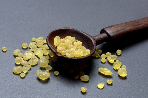 Mastic, resin from the mastic pistachio tree, Pistacia lentiscus, mastic resin in a wooden spoon