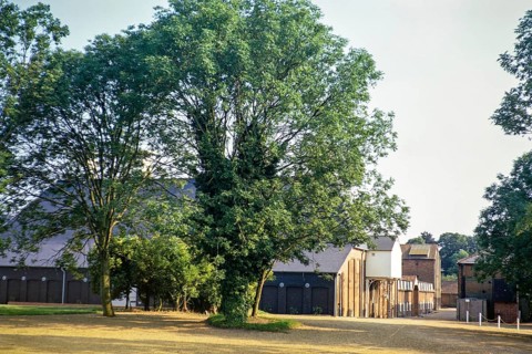 Konzertsaal und andere Gebäude, Snape Maltings, Suffolk, England, Vereinigtes Königreich Juli, 1971