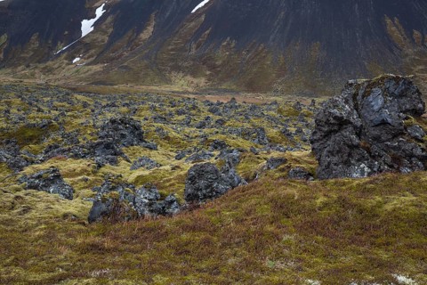 Landscape north of Arnarstapi, Vesturland, West Iceland, lava rocks, moss, Snæfellsjökull,