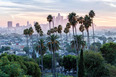 Los Angeles skyline with palm trees and downtown at sunset in California in Los Angeles, USA, North