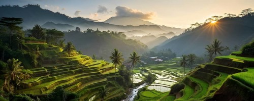 Early morning light bathes Philippines rice terraces cascading down mountain slopes, AI generated