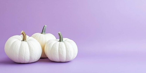 Banner with three large white pumpkins on pastel violet background with copy space. Generative Ai,