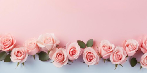 Banner with pastel pink roses in a row. KI generiert, generiert AI generated
