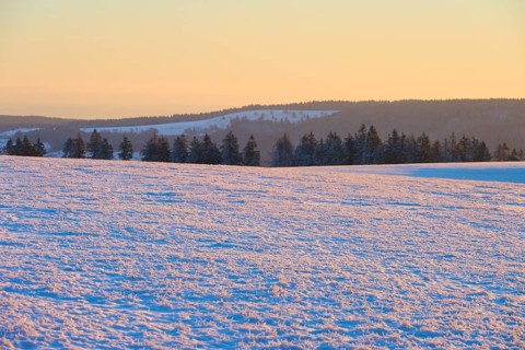 Snow-covered landscape with trees on the horizon in the light of sunrise, winter, Wasserkuppe,