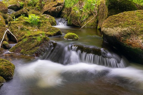 Kleine Ohe creek below Waldhaeuser village in the Bavarian Forest Nationalpark. Flowing water,