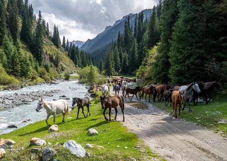 Herd of horses in a green mountain valley with forest and mountain stream, Chong Kyzyl Suu Valley,