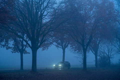 Country road B 57 near Erkelenz, autumn, fog, rainy weather, tree-lined avenue, wet road, North