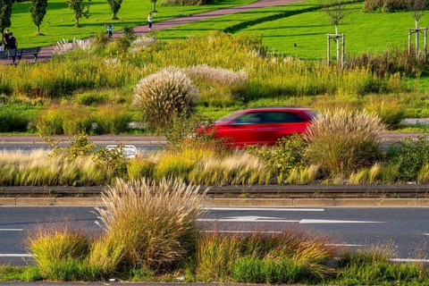 Greenery in the city centre, flower and plant beds, along Altendorfer Strasse, road traffic, in