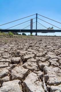 Rhine at Duisburg, extremely low water, Rhine level at 168 cm, tendency falling, after the long